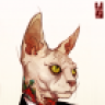 sindi.cat