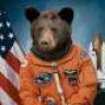 SebirianBear