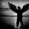 Arariel