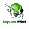 Kapusta Support